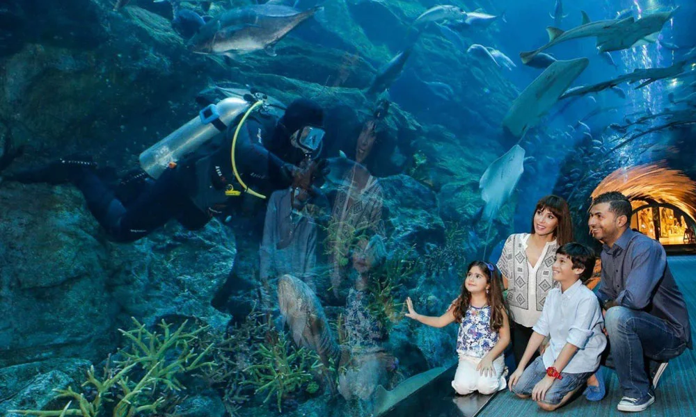 Dubai Aquarium & Underwater Zoo Tickets