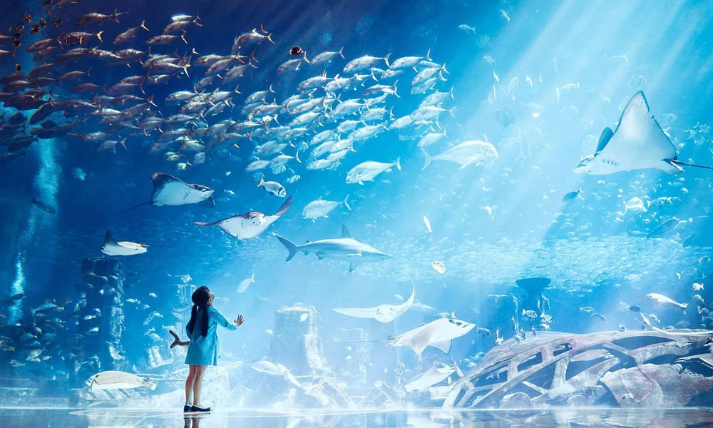 Lost Chambers Aquarium Dubai Tickets