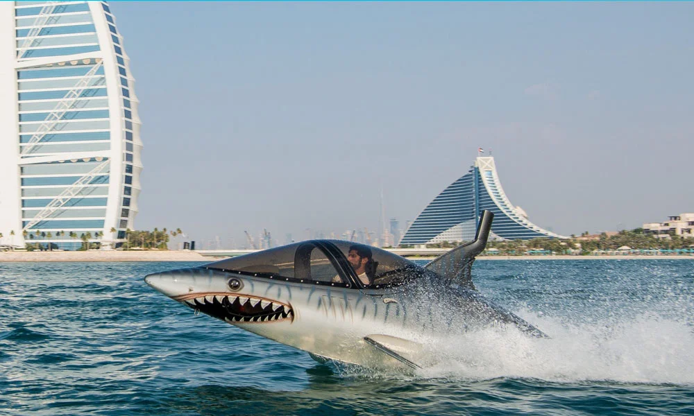 Experience SeaBreacher In Dubai