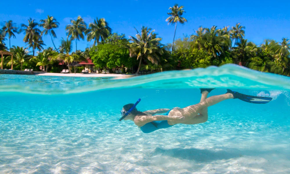 Snorkelling In Maldives