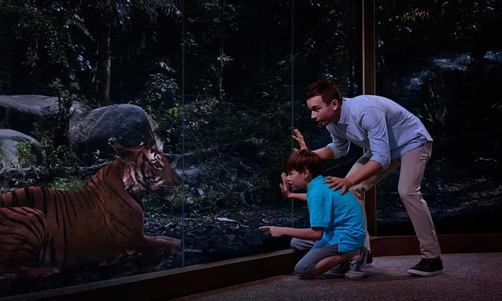 Singapore Night Safari Tickets with Tram Ride