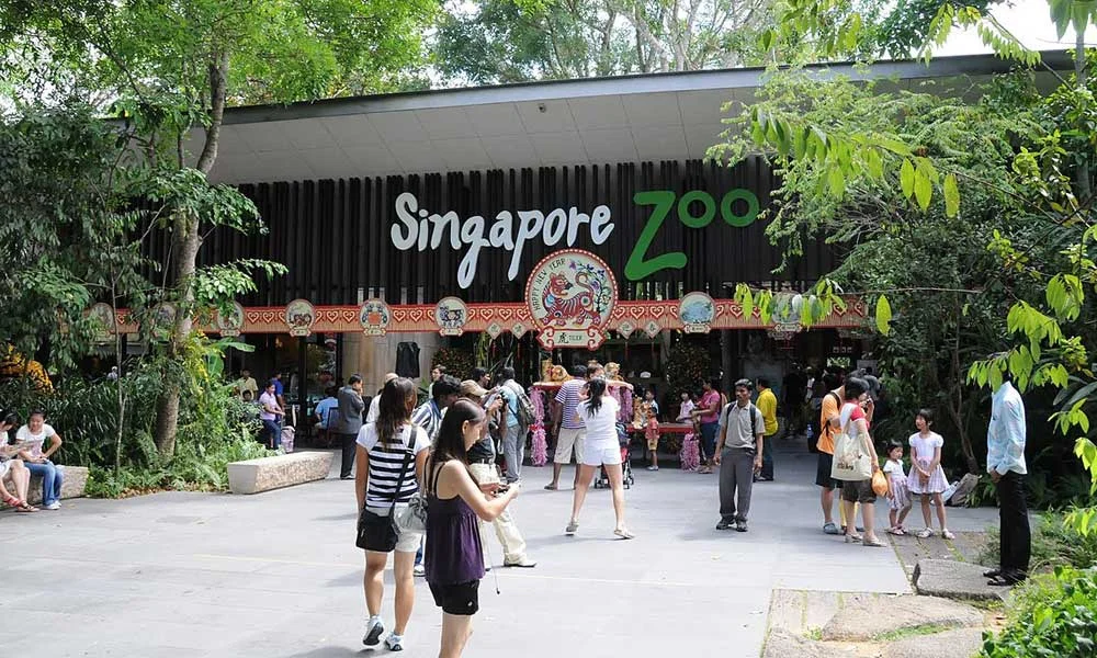 Singapore zoo tickets
