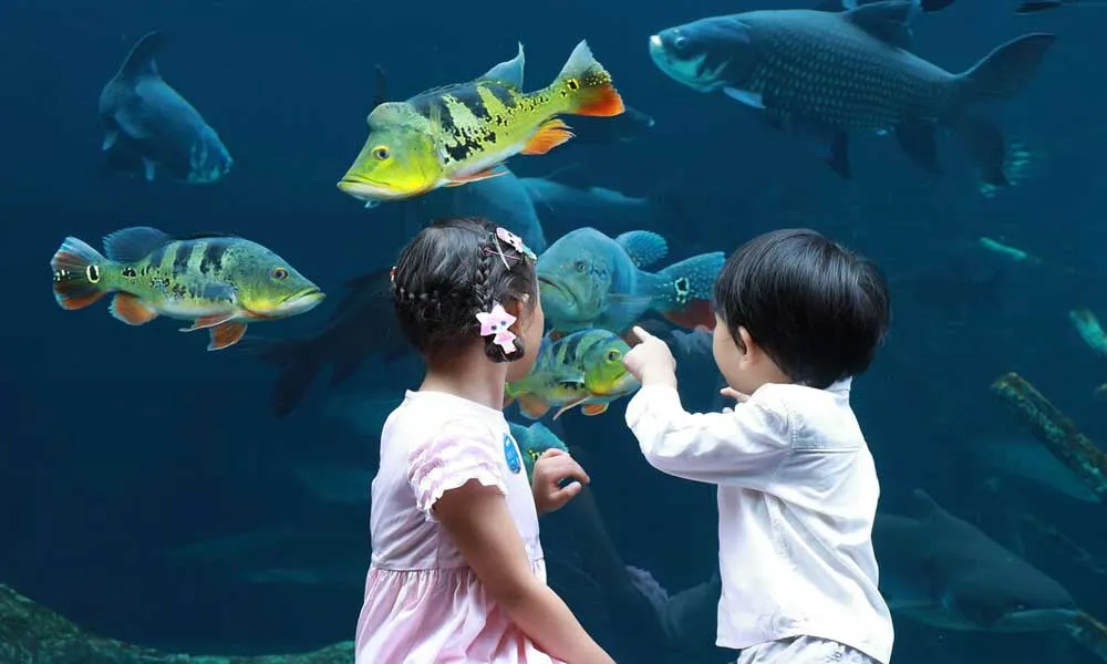 Aquaria Phuket Tickets
