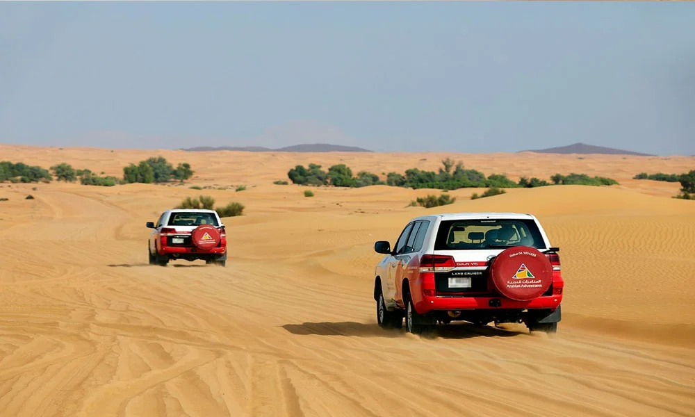 Dubai Desert Safari with BBQ Dinner