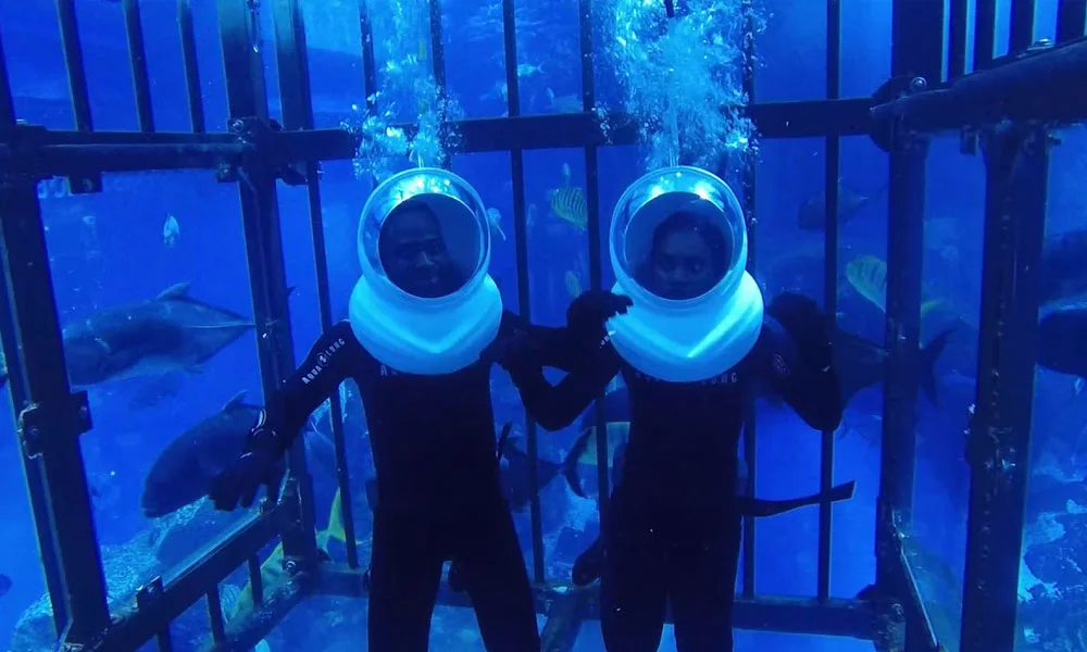 Shark Walker In Dubai Aquarium