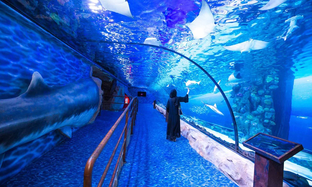 Shark Walker In Dubai Aquarium