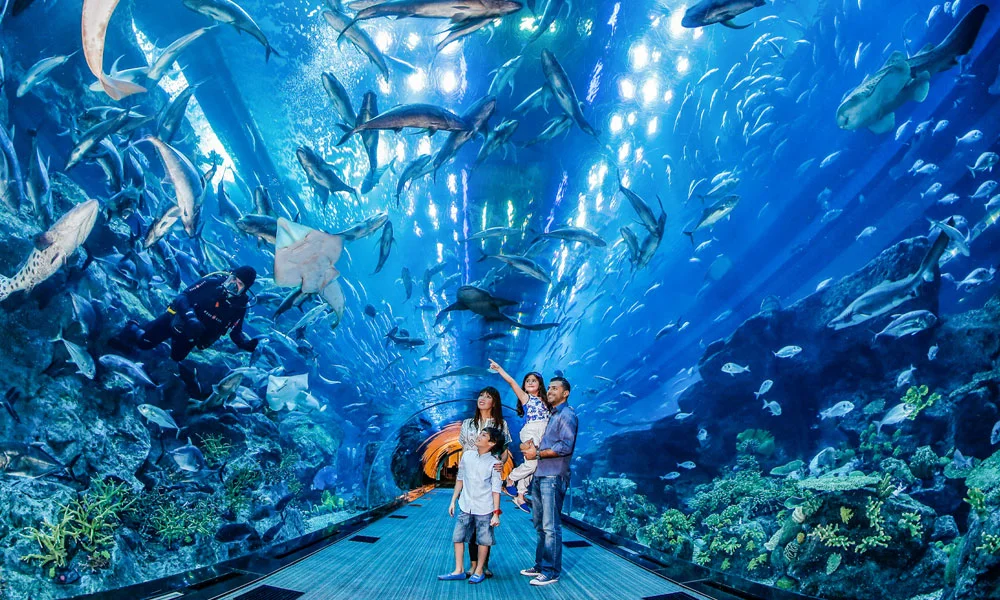 Shark Walker In Dubai Aquarium