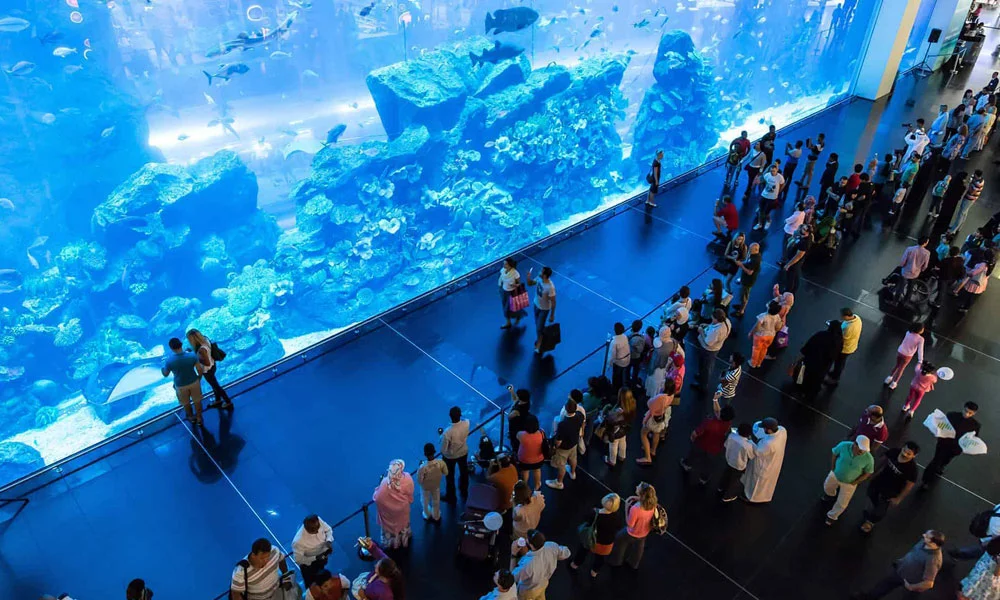 Shark Walker In Dubai Aquarium
