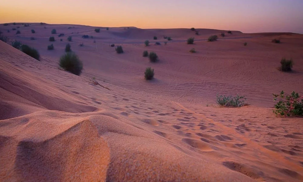 Morning Desert Safari Dubai