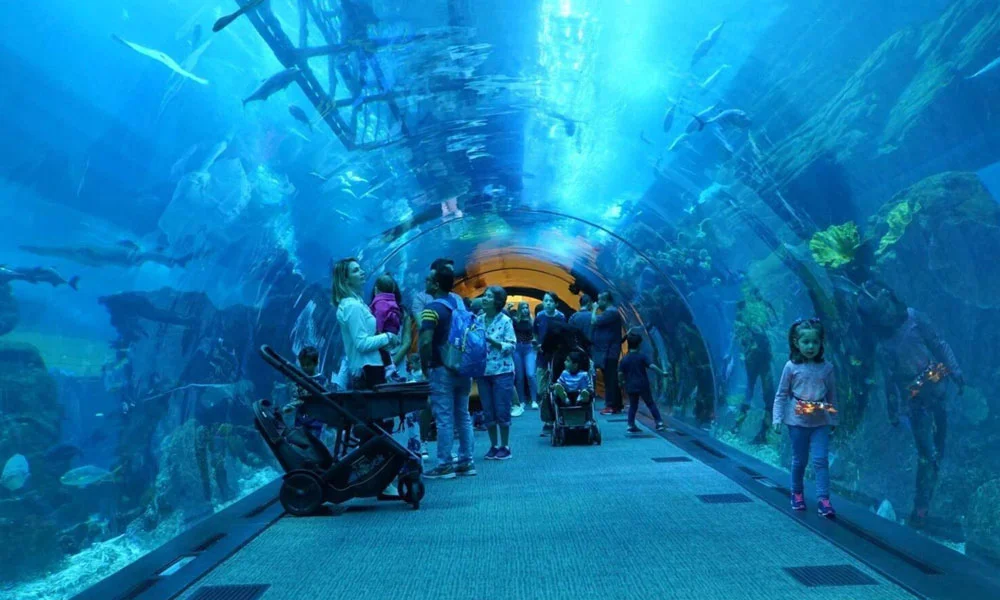 Dubai Aquarium & Underwater Zoo Tickets