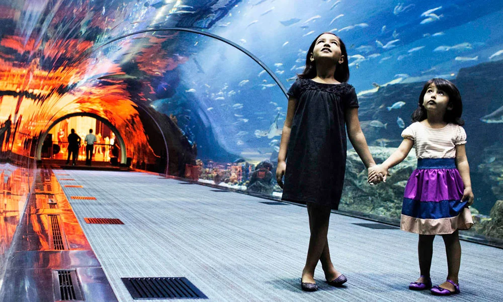 Dubai Aquarium & Underwater Zoo Tickets