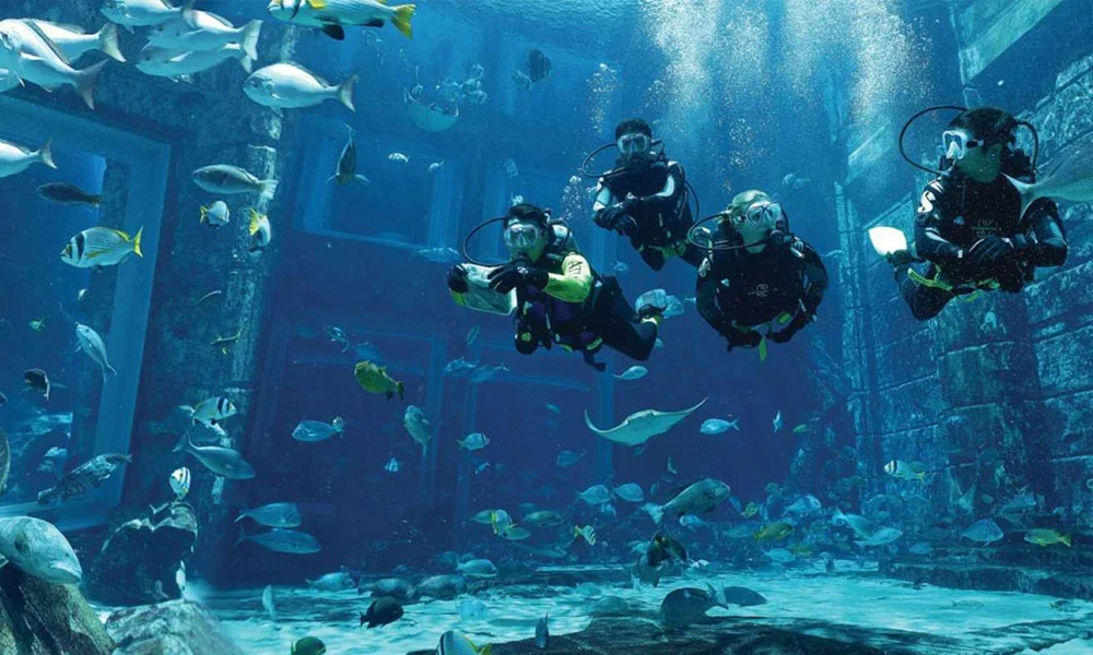 Lost Chambers Aquarium Dubai Tickets