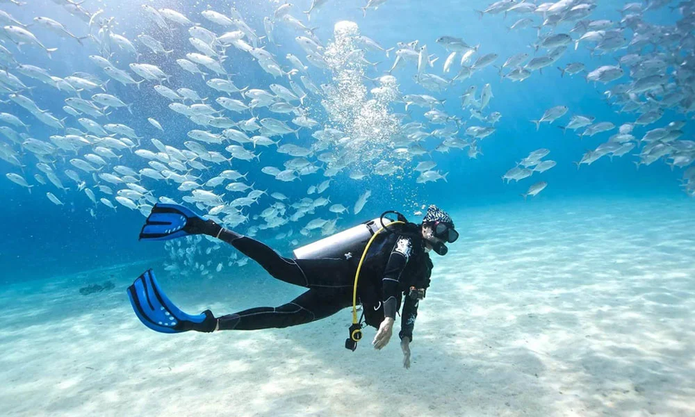 Scuba Diving Dubai