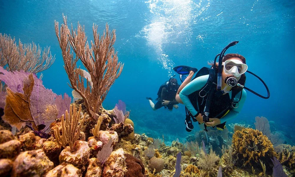 Scuba Diving Dubai