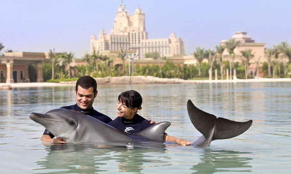 Dolphin Bay Dubai Tickets