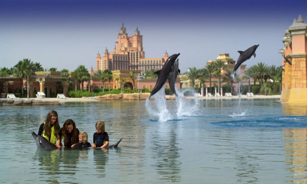 Dolphin Bay Dubai Tickets