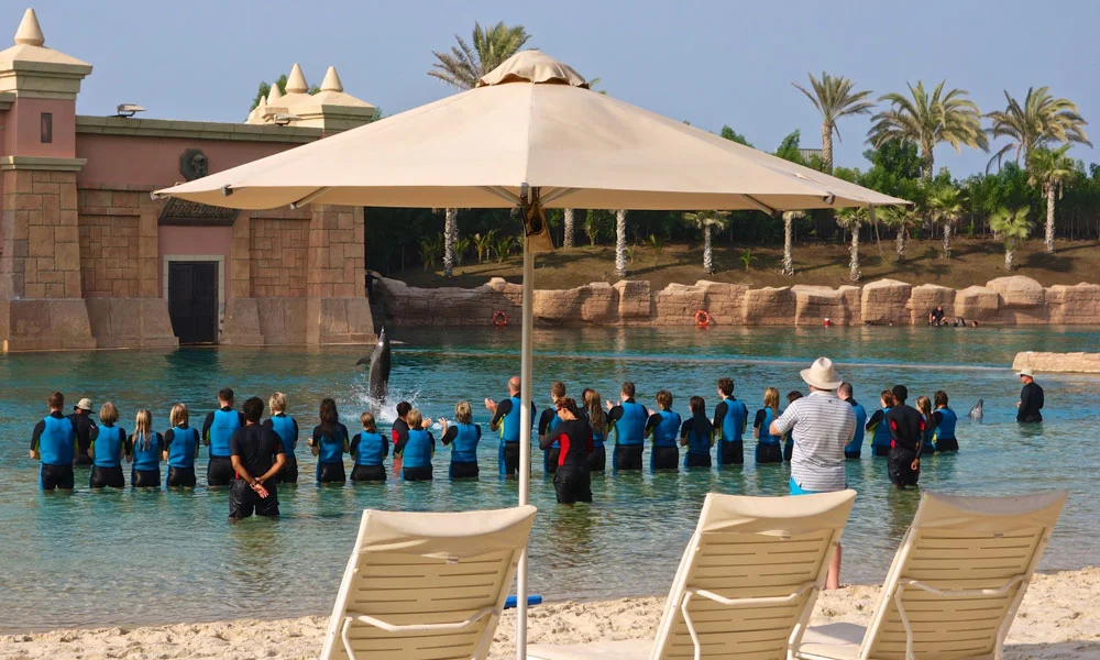 Dolphin Bay Dubai Tickets