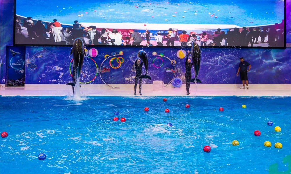 Dubai Dolphinarium Tickets