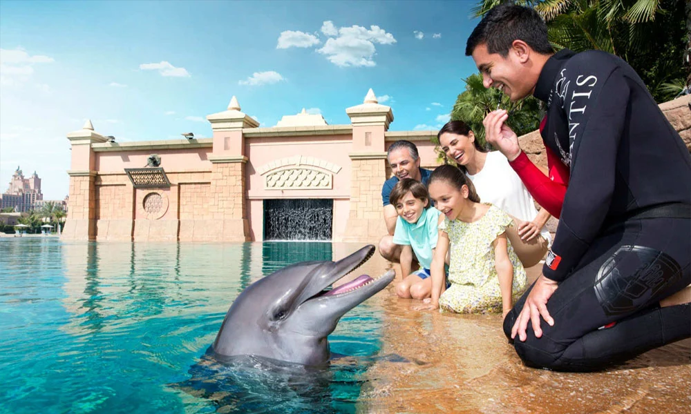 Dubai Dolphinarium Tickets