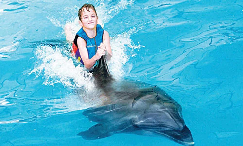Dubai Dolphinarium Tickets