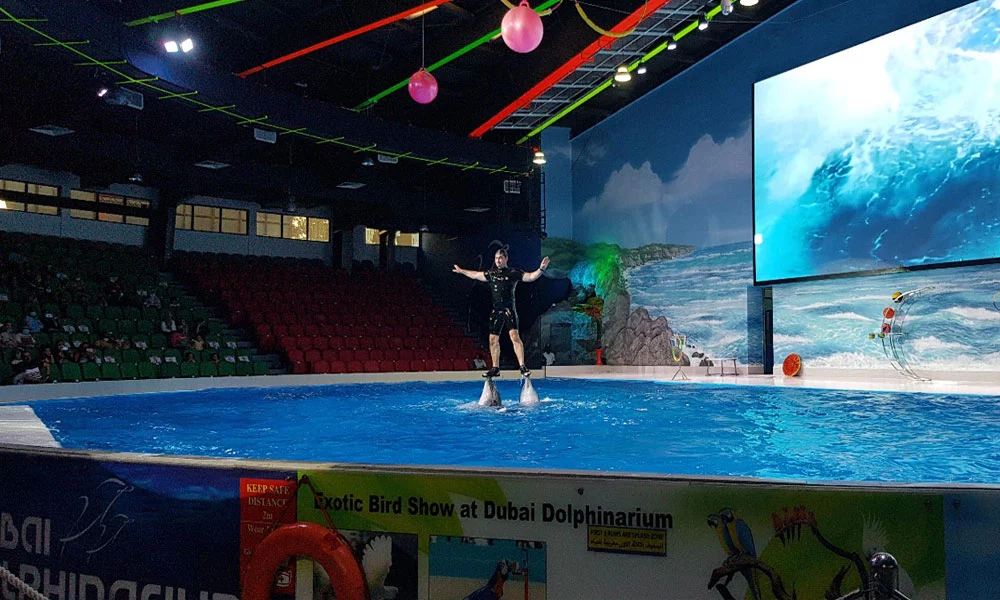 Dubai Dolphinarium Tickets