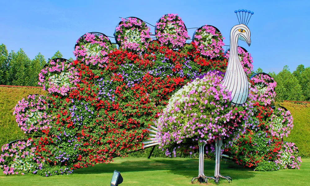 Dubai Miracle Garden Tickets