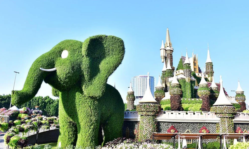 Dubai Miracle Garden Tickets