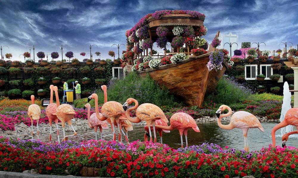 Dubai Miracle Garden Tickets