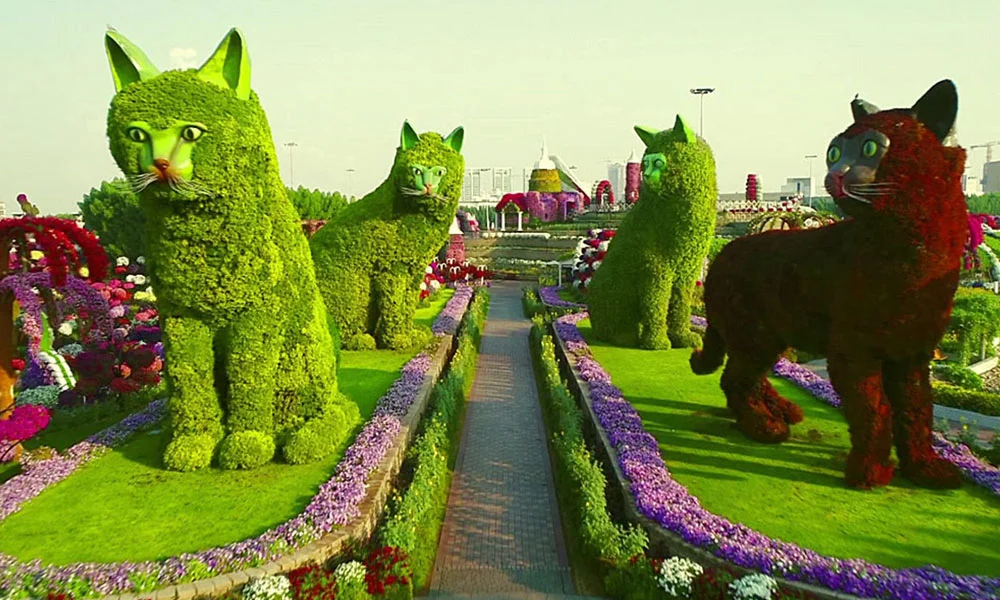 Dubai Miracle Garden Tickets