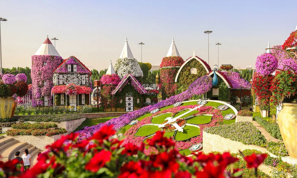 Dubai Miracle Garden Tickets
