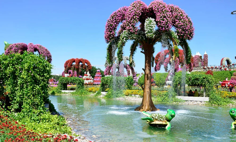 Dubai Miracle Garden Tickets
