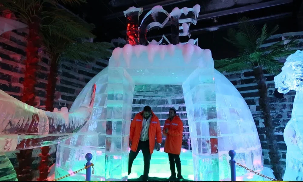 Dubai Garden Glow Tickets
