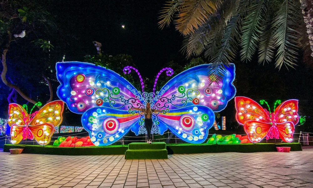 Dubai Garden Glow Tickets
