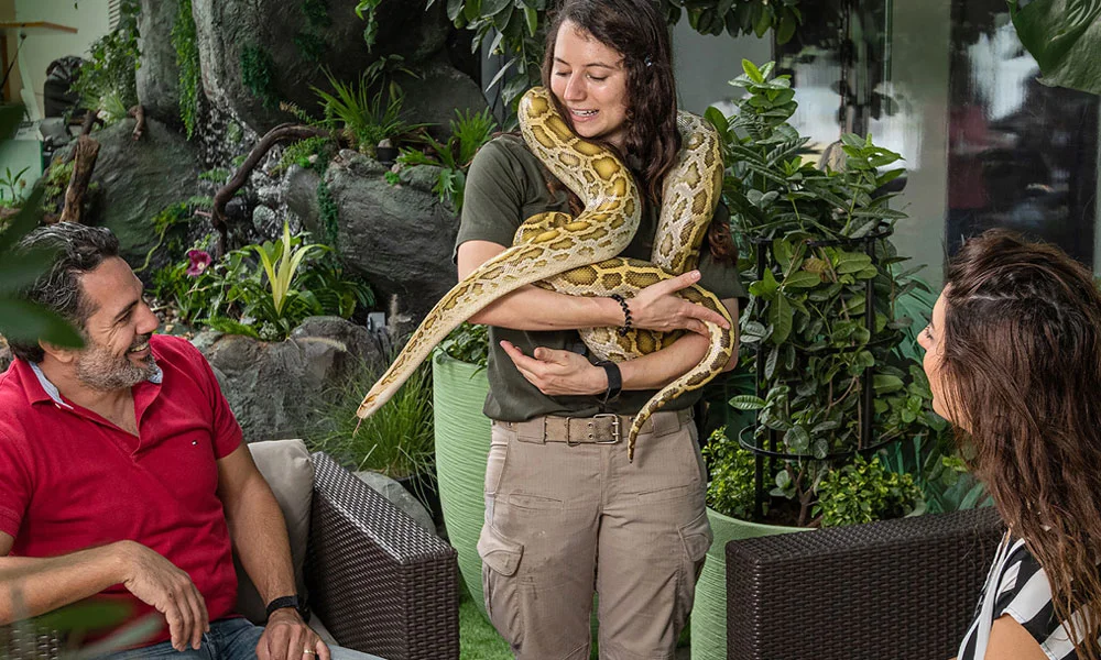 Green Planet Dubai Tickets