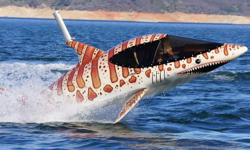 Experience SeaBreacher In Dubai