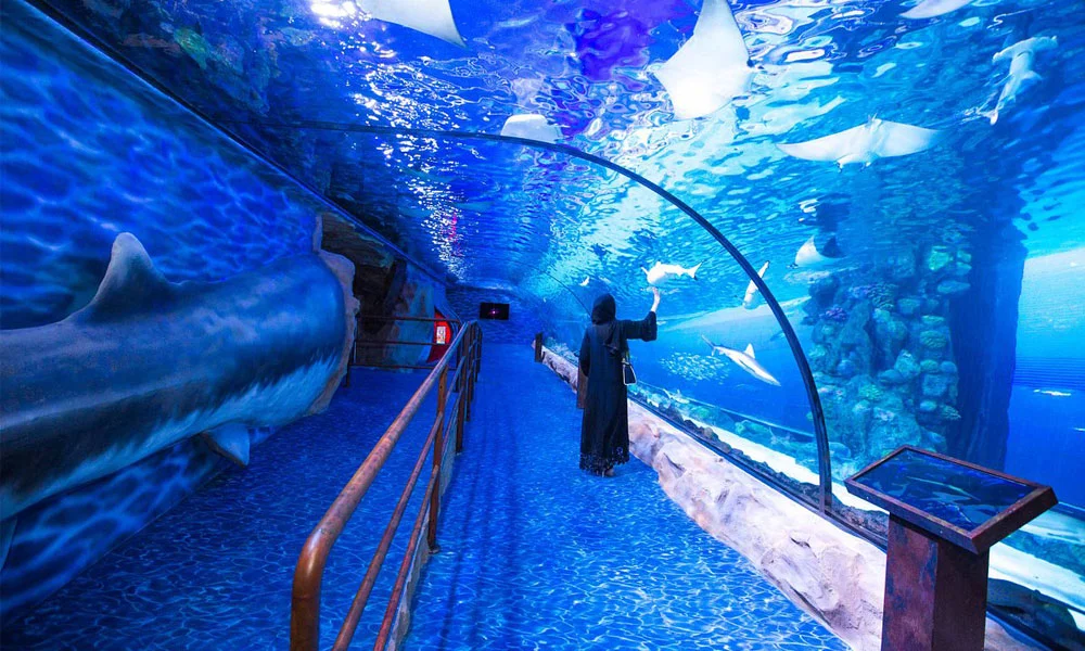 Burj Khalifa and Dubai Aquarium Combo