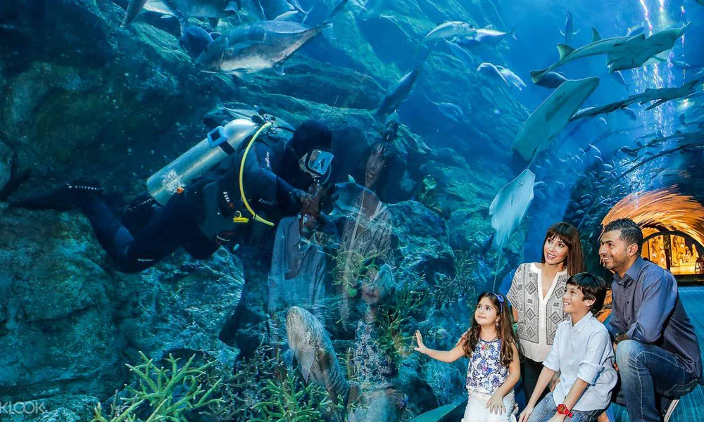 Burj Khalifa and Dubai Aquarium Combo