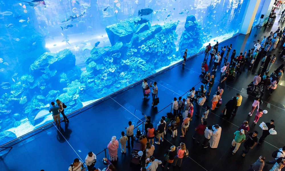 Burj Khalifa and Dubai Aquarium Combo