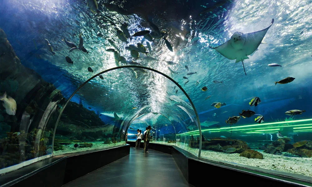 Burj Khalifa and Dubai Aquarium Combo