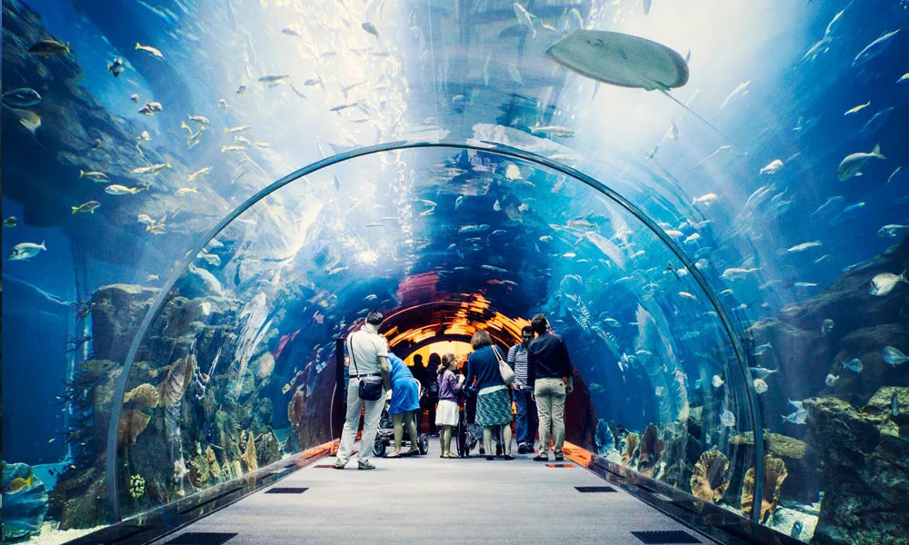 Burj Khalifa and Dubai Aquarium Combo