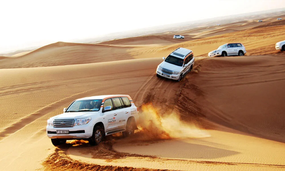 Dubai City Tour With Desert Safari & Creek Cruise