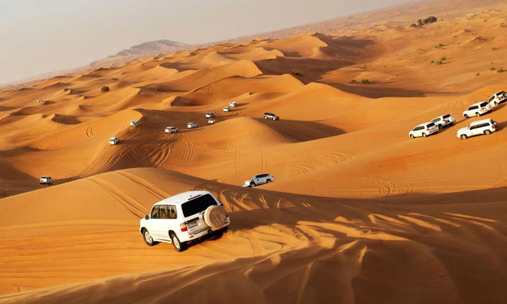 Dubai City Tour With Desert Safari & Creek Cruise