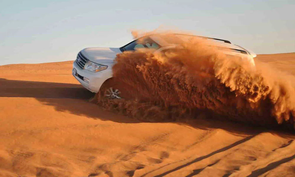 Dubai City Tour With Desert Safari & Creek Cruise