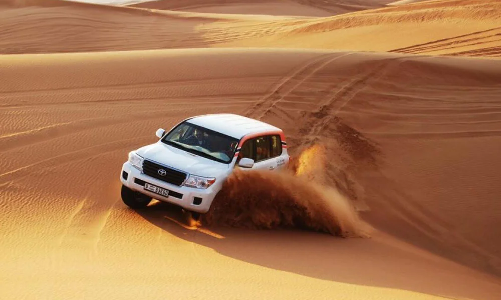 Dubai City Tour With Desert Safari & Creek Cruise