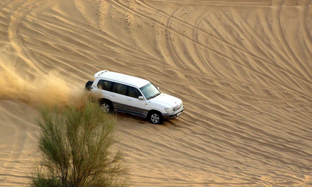 Dubai City Tour With Desert Safari & Creek Cruise