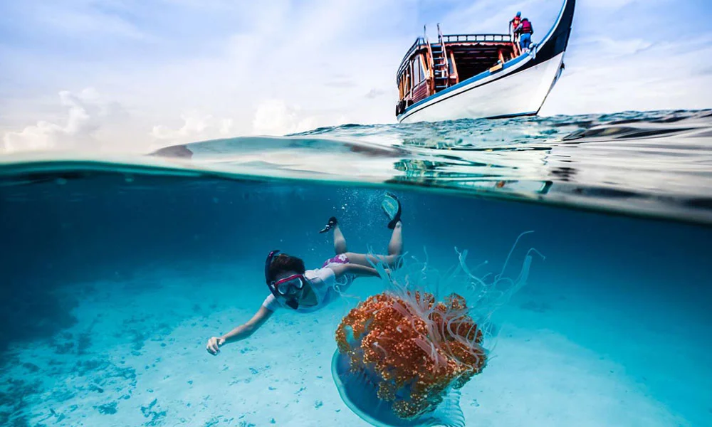 Snorkelling In Maldives