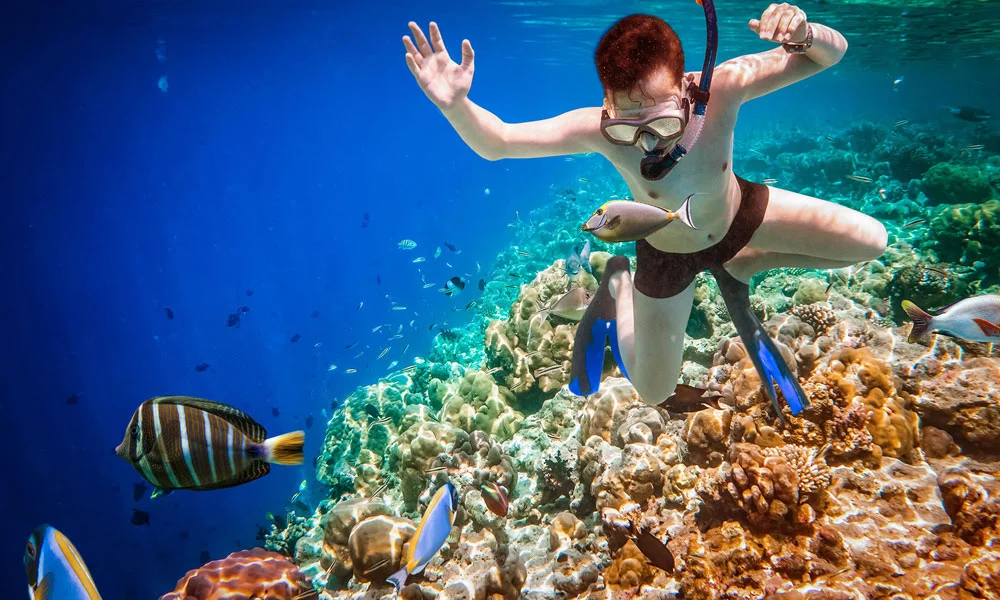 Snorkelling In Maldives