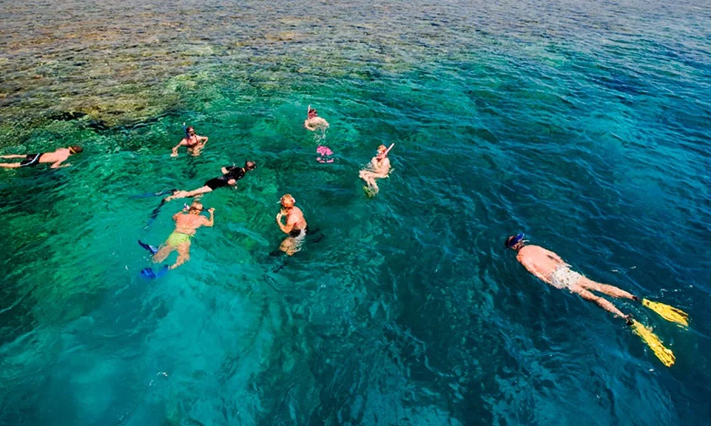 Snorkelling In Maldives