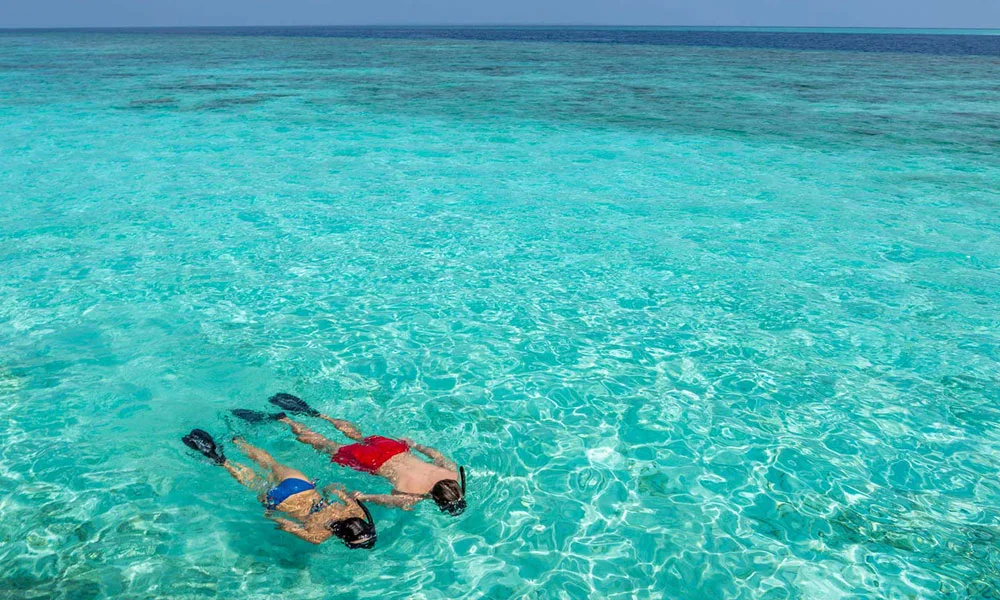 Snorkelling In Maldives