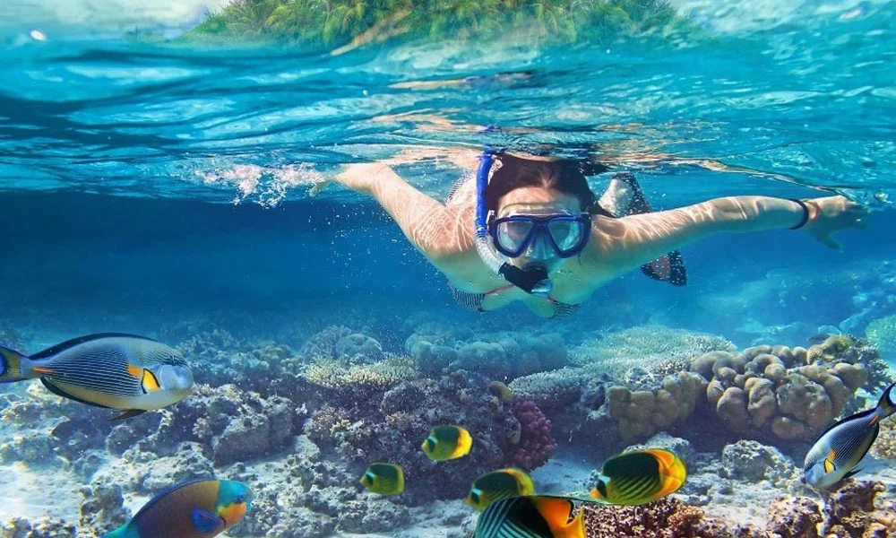 Snorkelling In Maldives